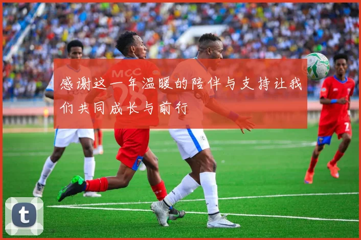 感谢这一年温暖的陪伴与支持让我们共同成长与前行