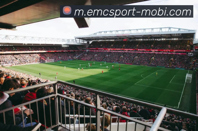 易倍体育APP 封面图